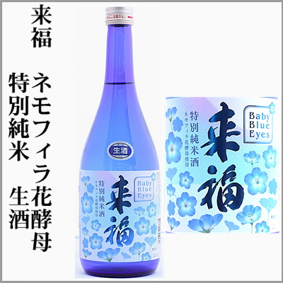 �����@�l���t�B���ԍy��@���ʏ��ā@����